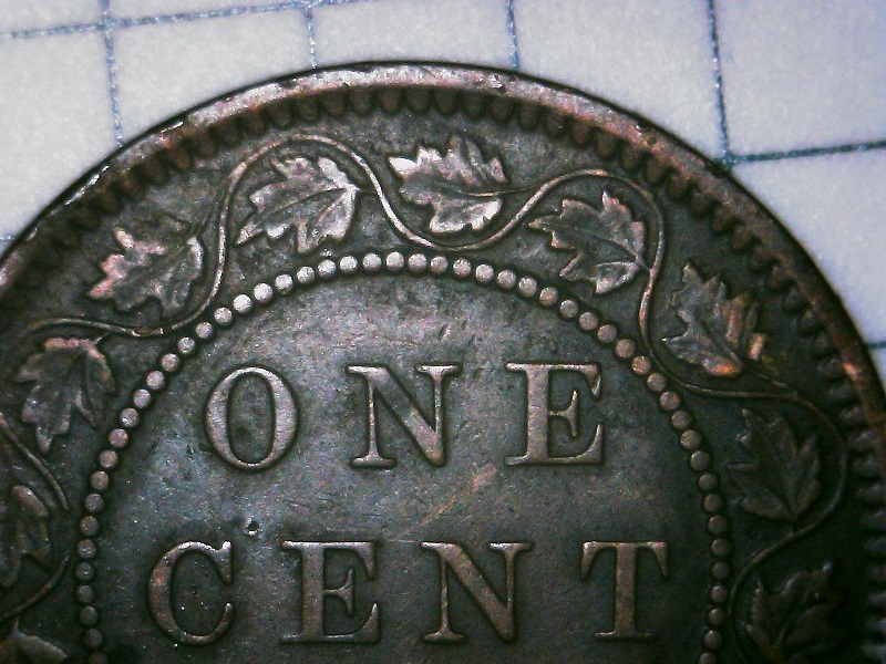 1859-Variety-Attribution-Assistance-Requested