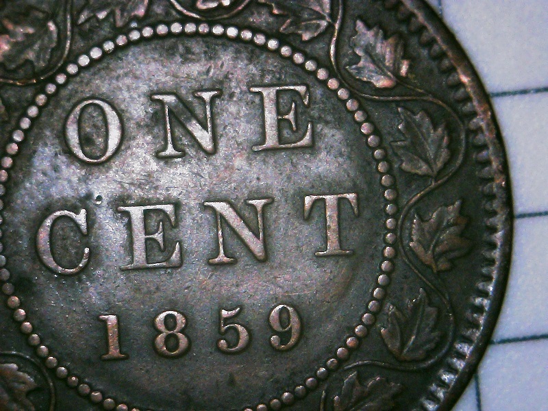 1859-Variety-Attribution-Assistance-Requested