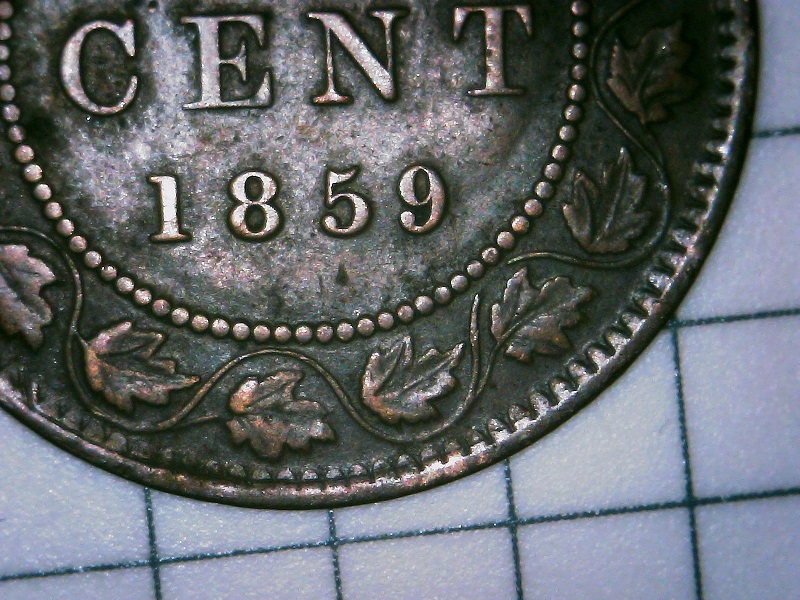 1859-Variety-Attribution-Assistance-Requested