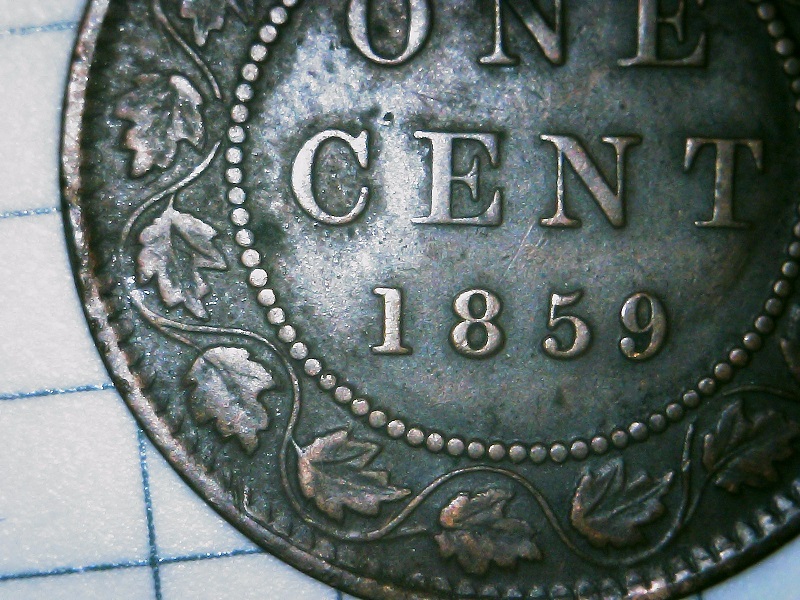 1859-Variety-Attribution-Assistance-Requested