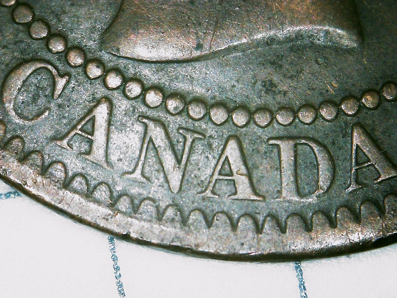 1859-Variety-Attribution-Assistance-Requested