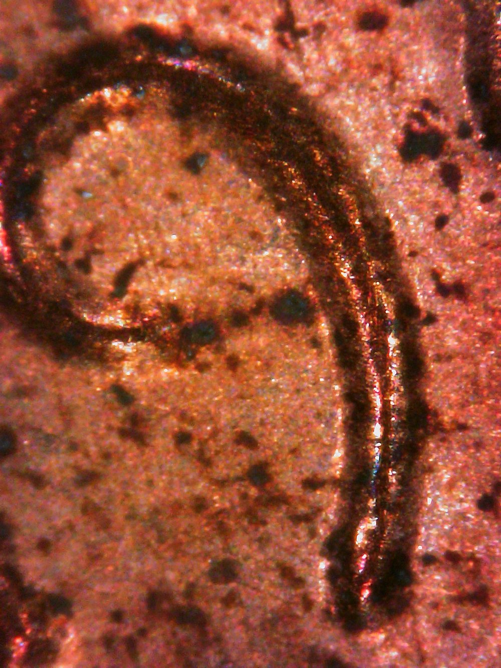 1983-D--LMC-With-Doubling-On-Date