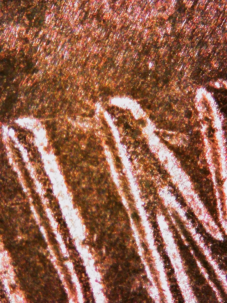 2017-P-LSC--Die-Scratches-On-Reverse?