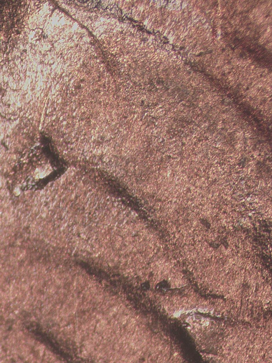 1945-S-LWC-With-Die-Chip-Also-Has-Extraordinary-Obverse-Markings;-Die-Errors-Or-Something-Else?