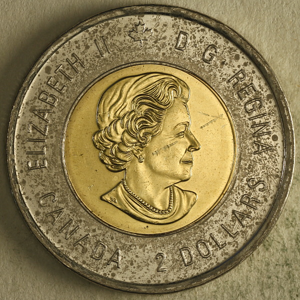 2020-Bill-Reid-Toonie-Not-So-Good