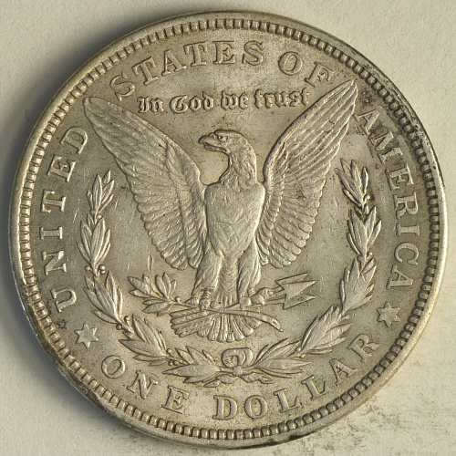 1921-Morgan-For-Grading