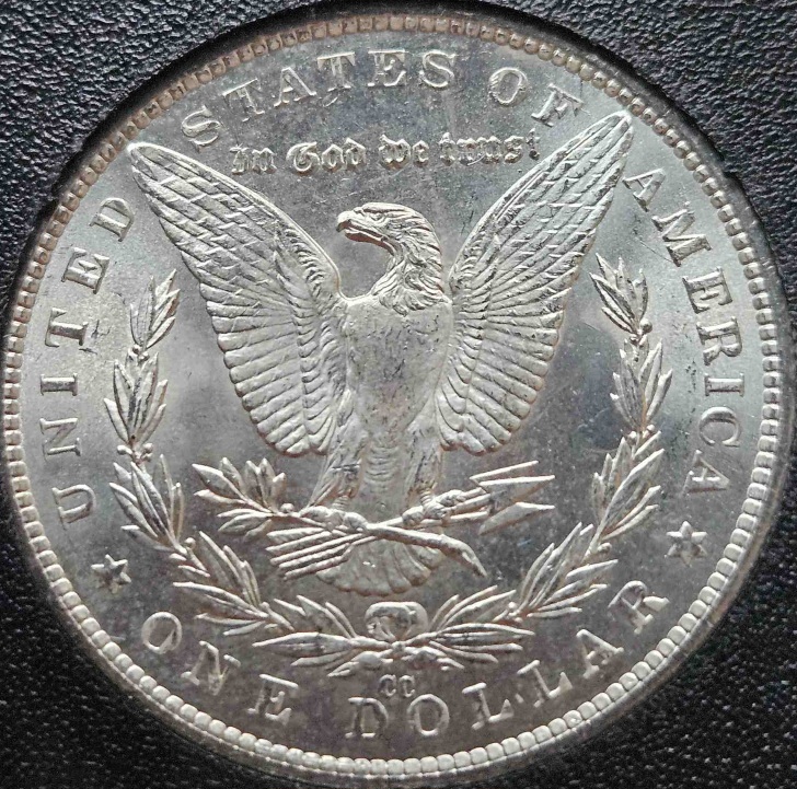 1882-CC-Morgan-Dollar-For-Grading-Gsa,-Coin-1