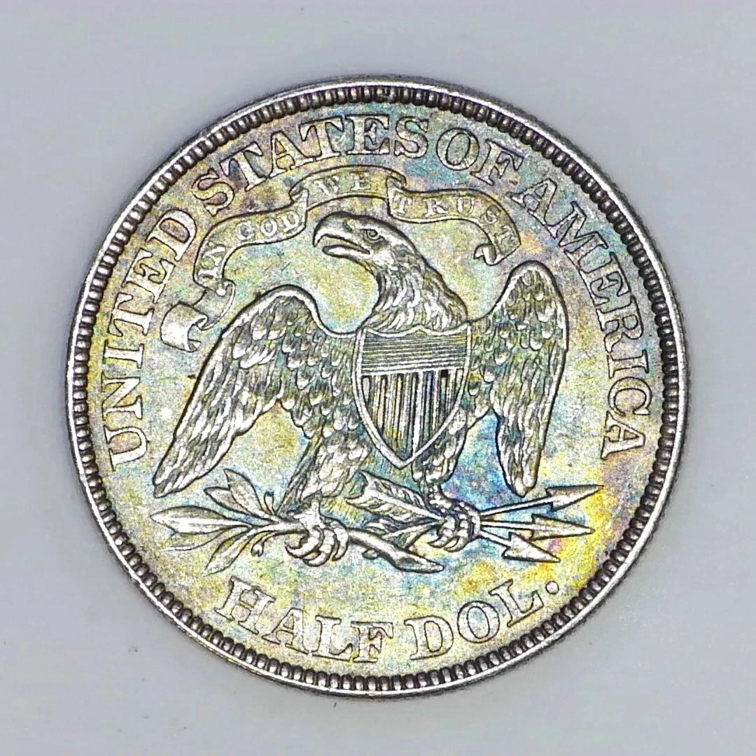 1873-Seated-Half---What-Do-You-Think-Of-This-Color?
