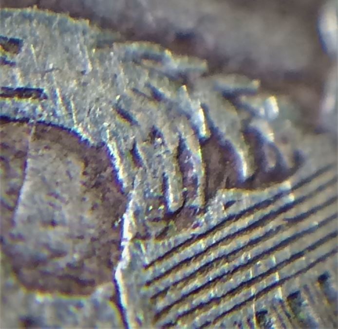 1811/09-Bust-Dime-Grade-Request