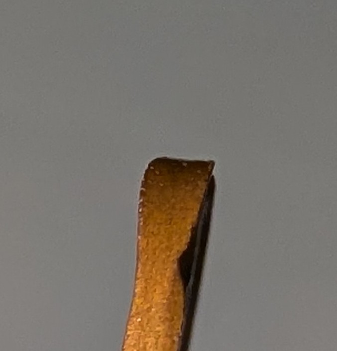 1981-1c-Canadian-Strike-Error?