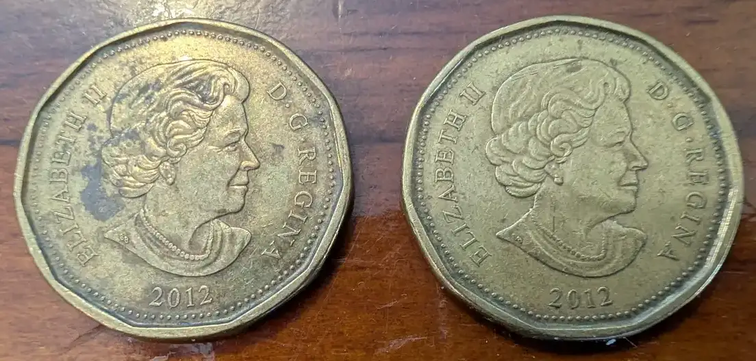 2012-Loonie-
