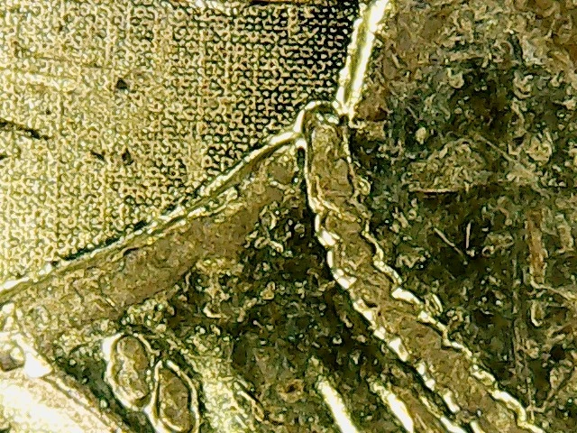 2018-Counterfeit-Toonie?