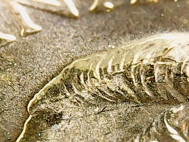 2026-Fifa-Dollar-Die-Crack