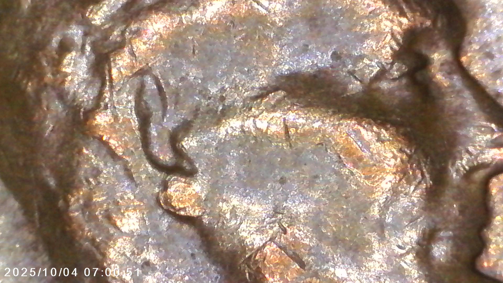 Is-This-1968-D-Penny-What-You-Call-A-Double-Strike-Or-Ghosting-Error