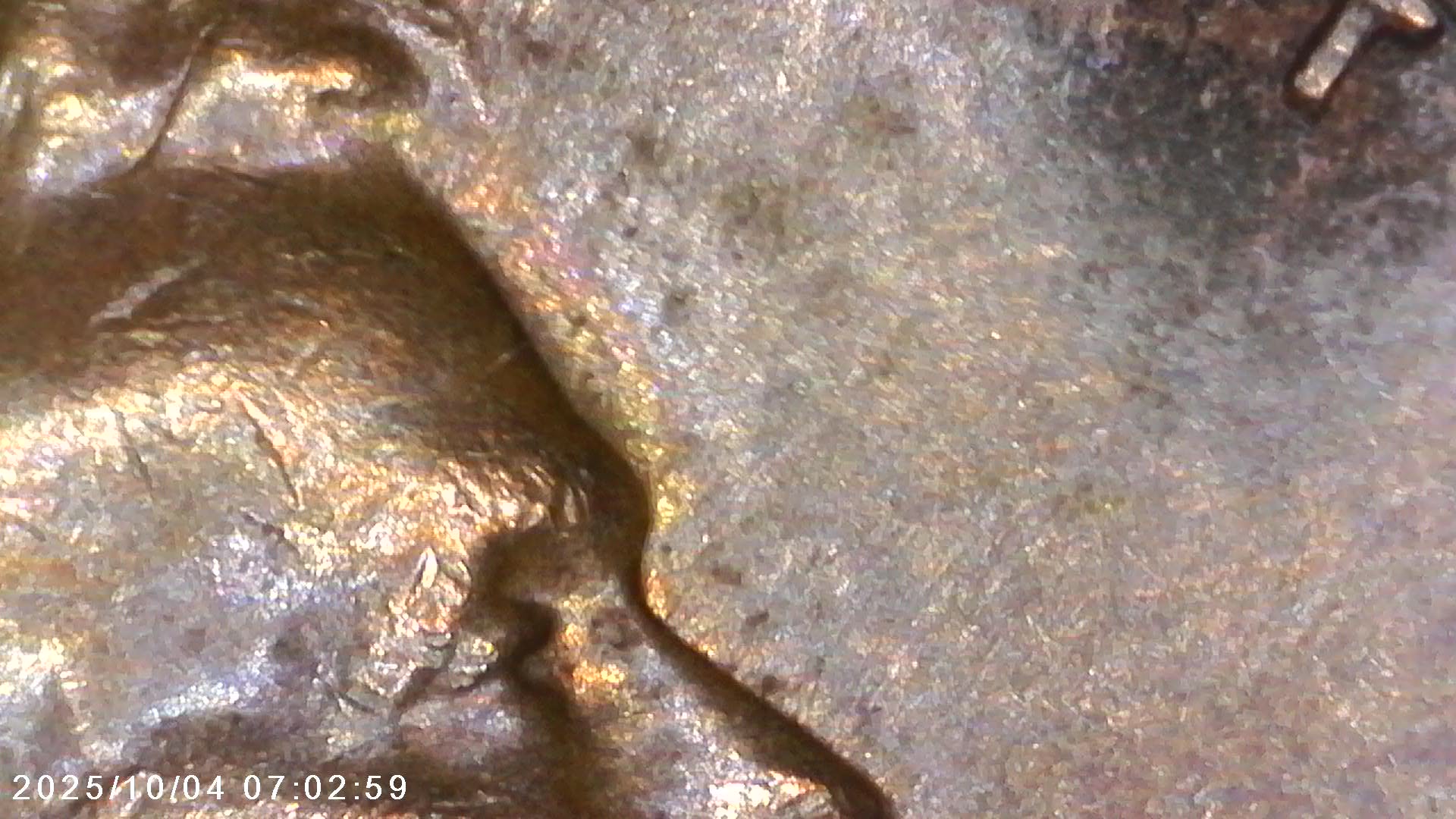 Is-This-1968-D-Penny-What-You-Call-A-Double-Strike-Or-Ghosting-Error