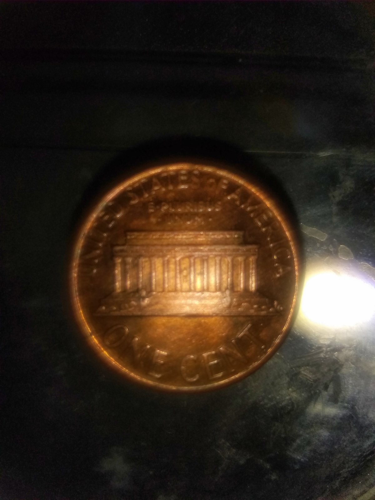 Just-Found-Thia-New-VDB-LMC-1988-Is-This-A-New-Variety?