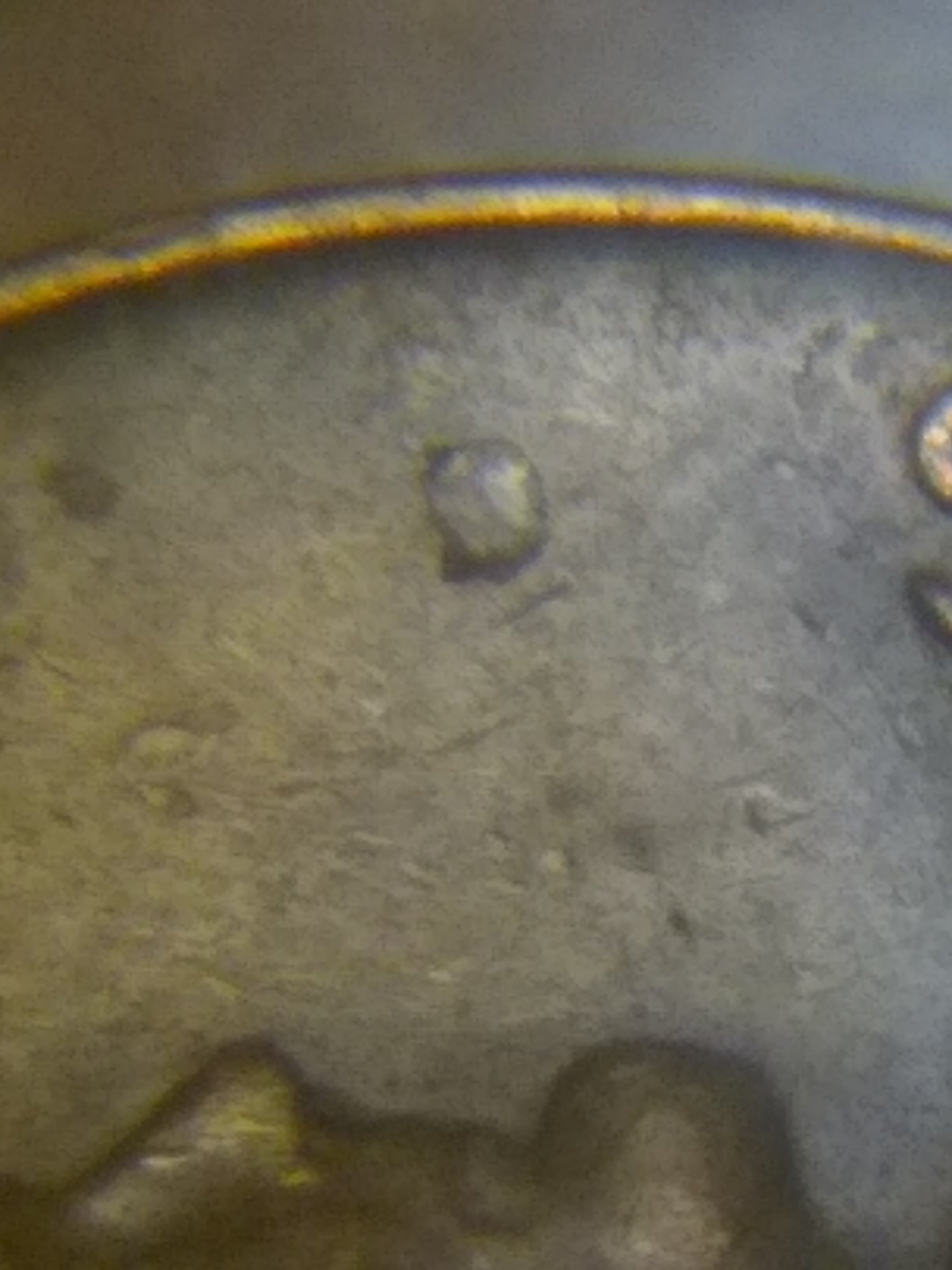 Please-Make-My-Day-And-Tell-Me-I-Found-Something.-1962-D/D-LMC?