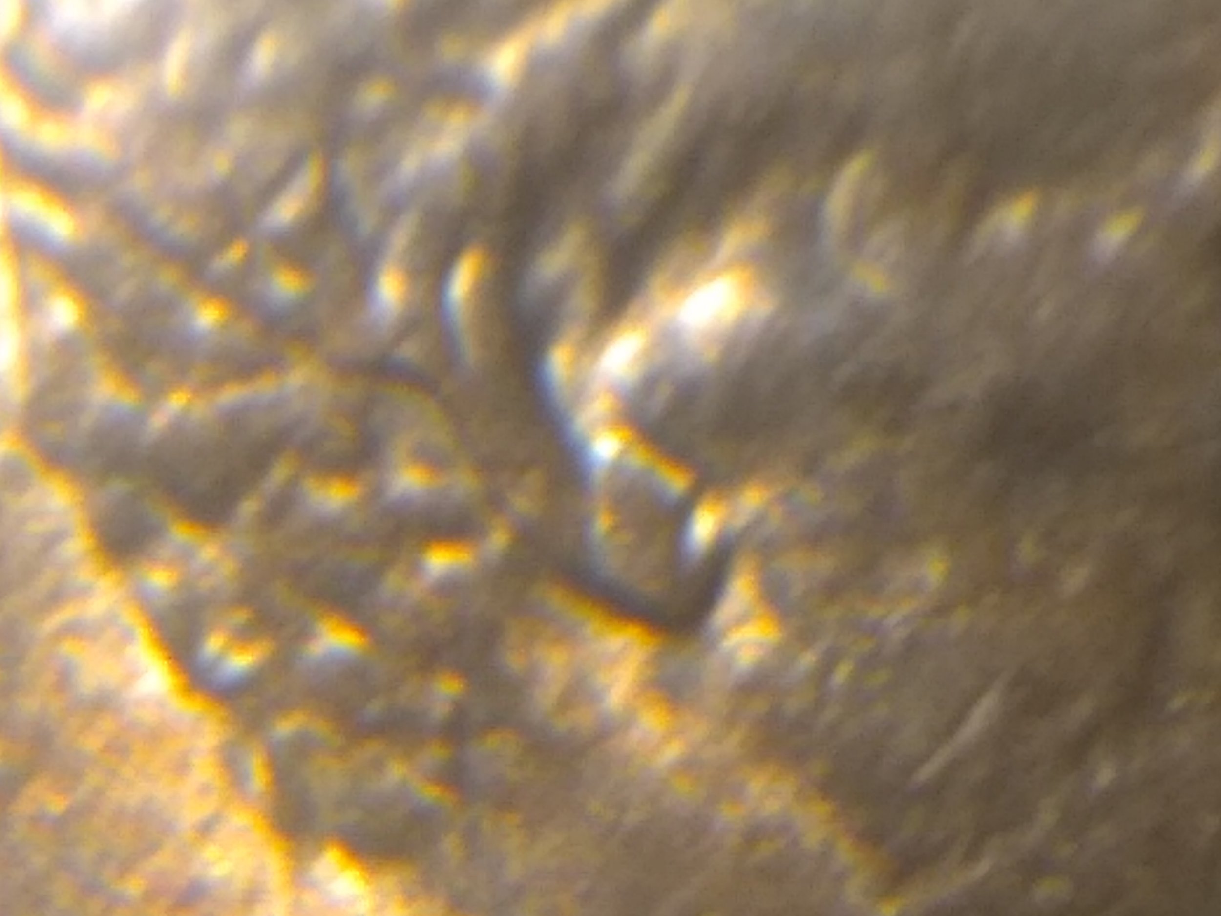 1988-LMC-Double-Ear,-I-Compared-It-To-Non-Double-Ear-Of-Same-Year,-It-Should-Be
