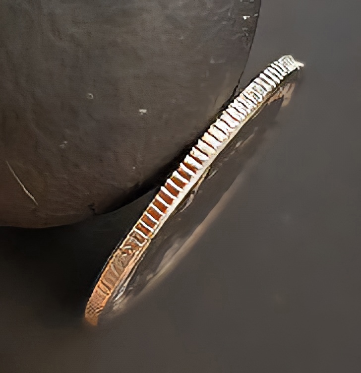2008-P-Alaska-Quarter-No-Copper-Rim