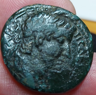 Another-SC-Reverse-I-Need-Help-Identifying-Please.
