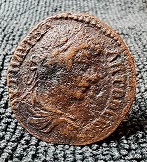 Identification-Help-Please.