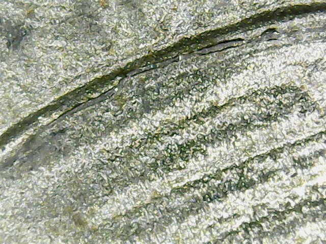 1950-S-DDR-FS-801?-Gem-Coin-Weak-Strike