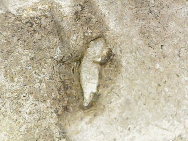 Silver-Roosevelt-Dime-Struck-Through-Grease?-Much,-Much-More-To-See-Too-!