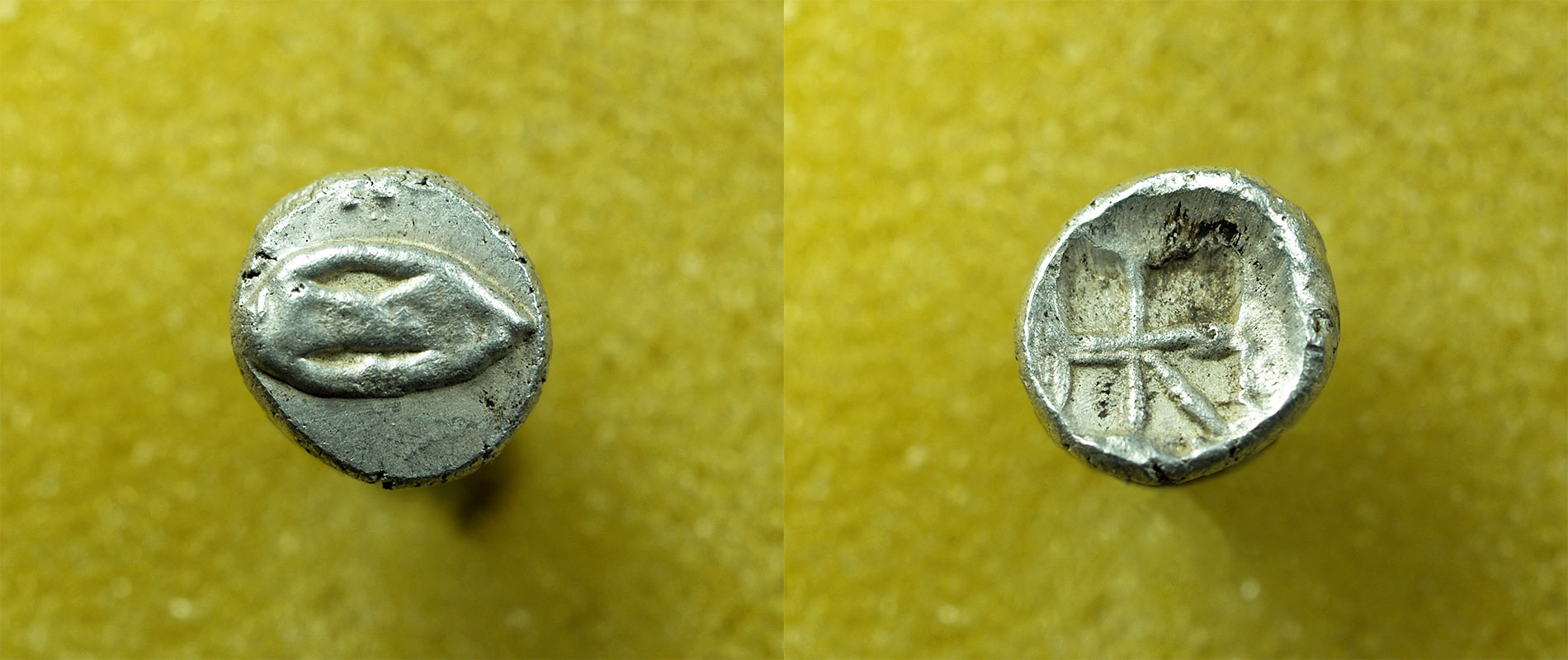 Identifying-Ancient-Greek-Coins-#20