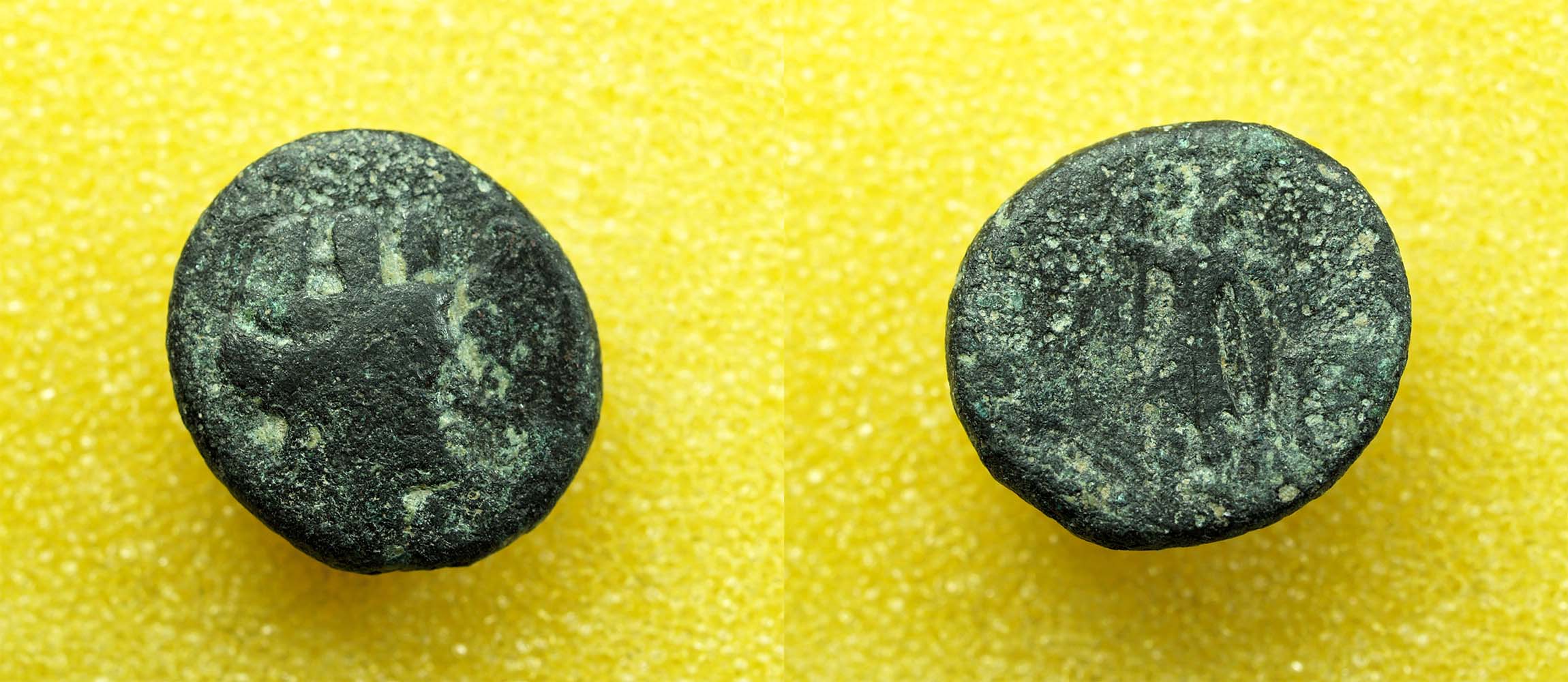 Identifying-Ancient-Greek-Coins-#40
