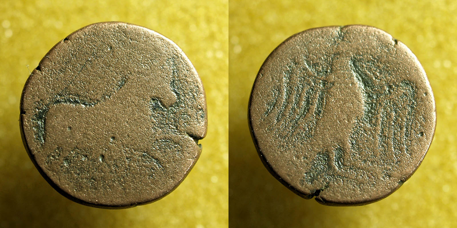 Ancient-Greek-Or-Roman-Coin-To-Identify