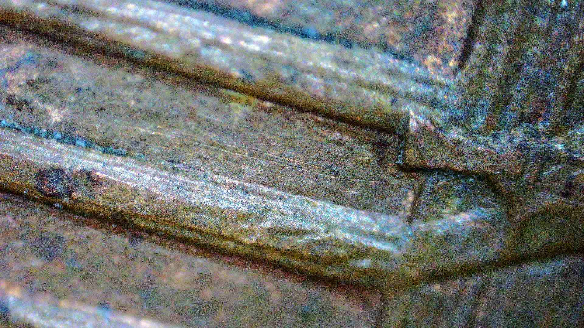 1996-P-Lincoln-Penny-Extra-Column?