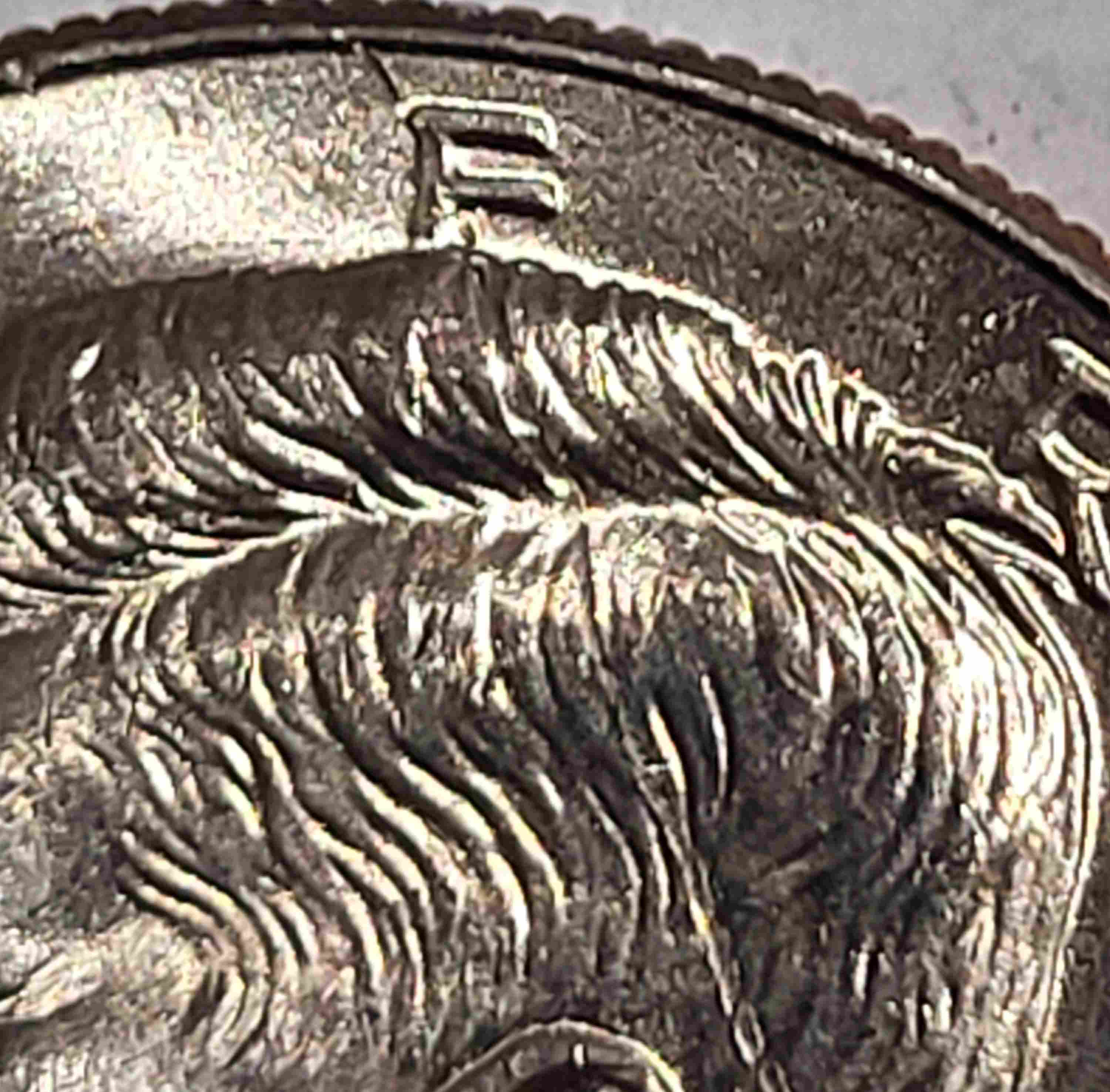 Did-I-Just-Found-A-Major-Die-Crack-In-2005-P-NIFC-Half-Dollar?