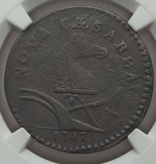 Post-Your-Coins-With-Horses