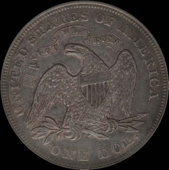 1872-Seated-Dollar-For-Grading