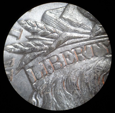1887-V12-Alligator-Eye