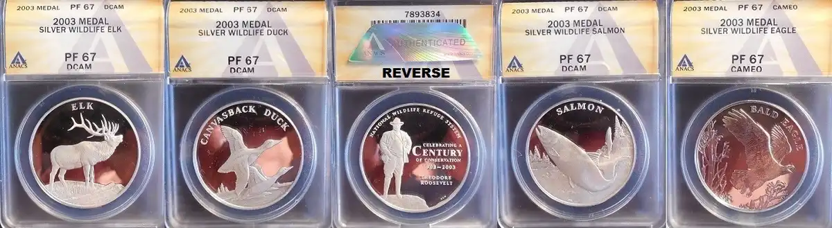 Continuing-List-To-Show-Everyones-Latest-Acquisitions