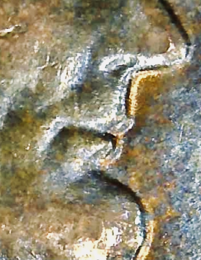 1958-Wheat-Penny-Tripled-Die-?-New-Photo