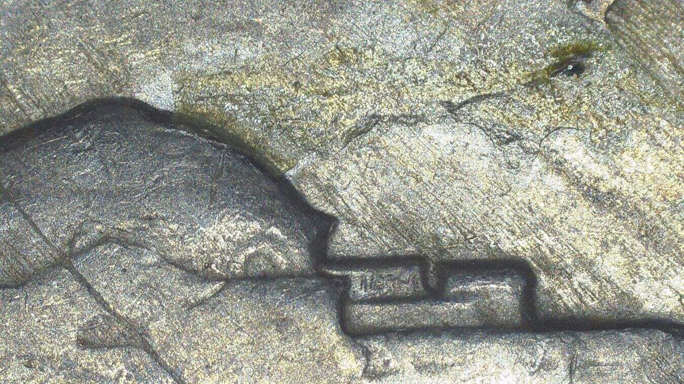 1952-Nickel-Delamination?