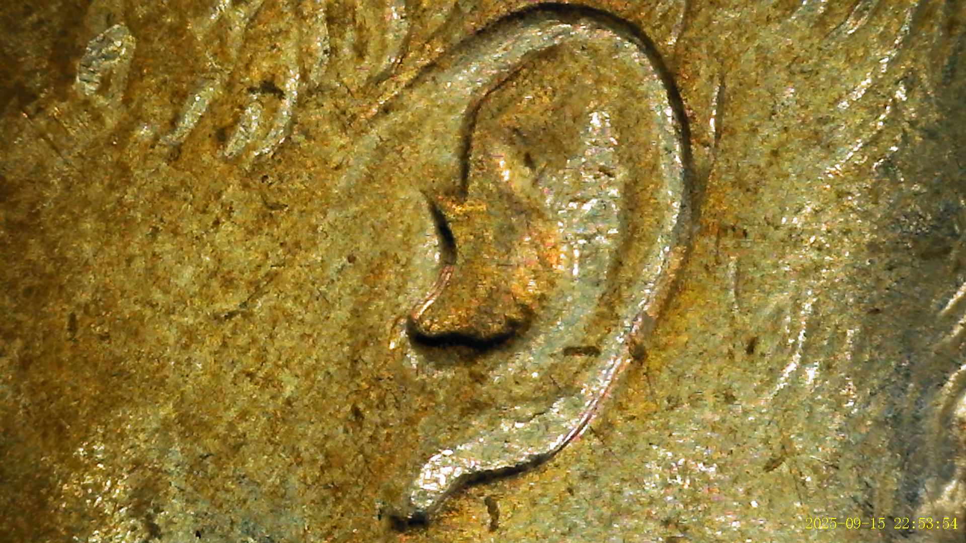 1969-D-Kennedy-Half-DDO,-MD,-Or-Doubled-Master-Die?