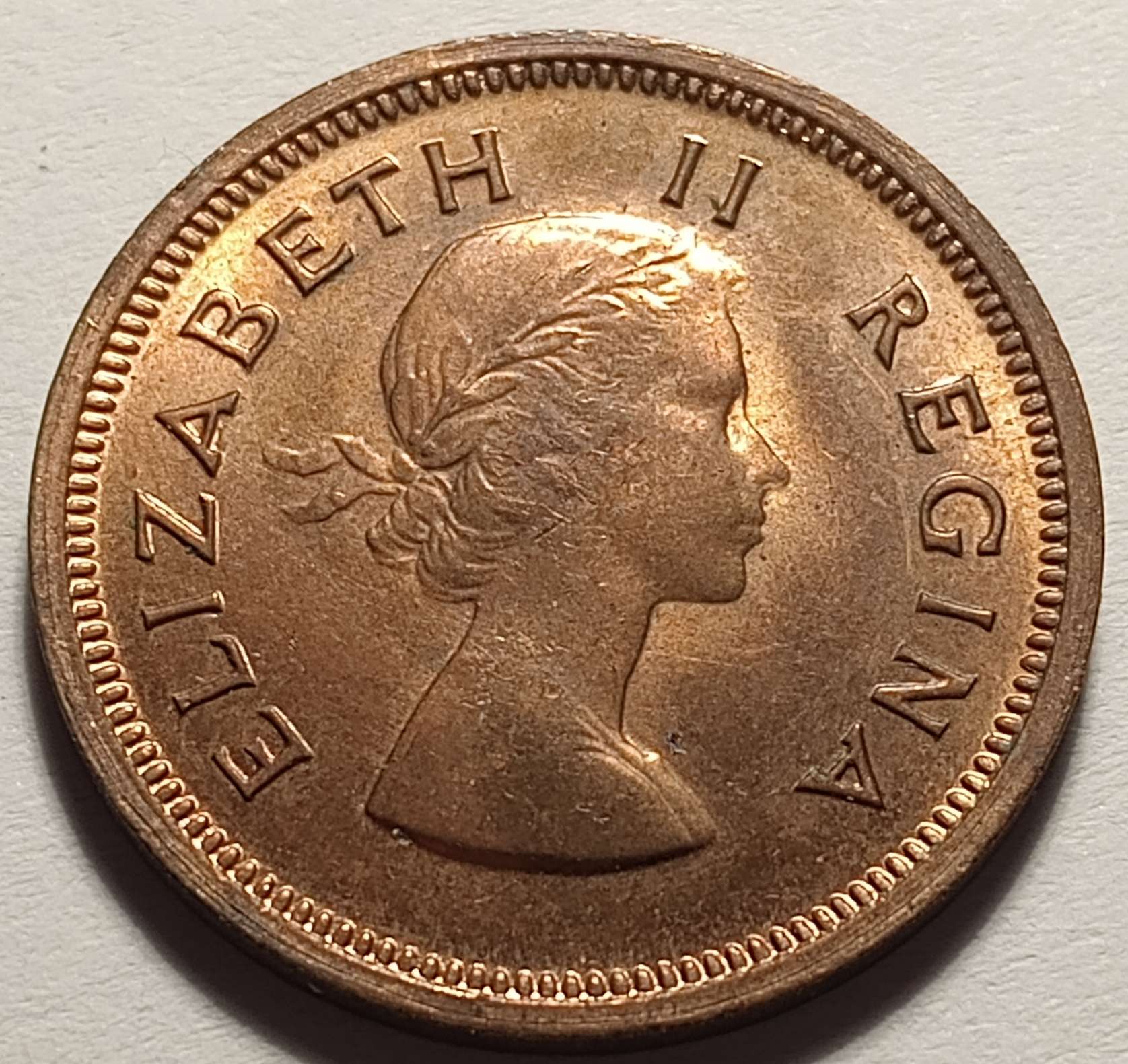 Post-Your-Bird-Coins