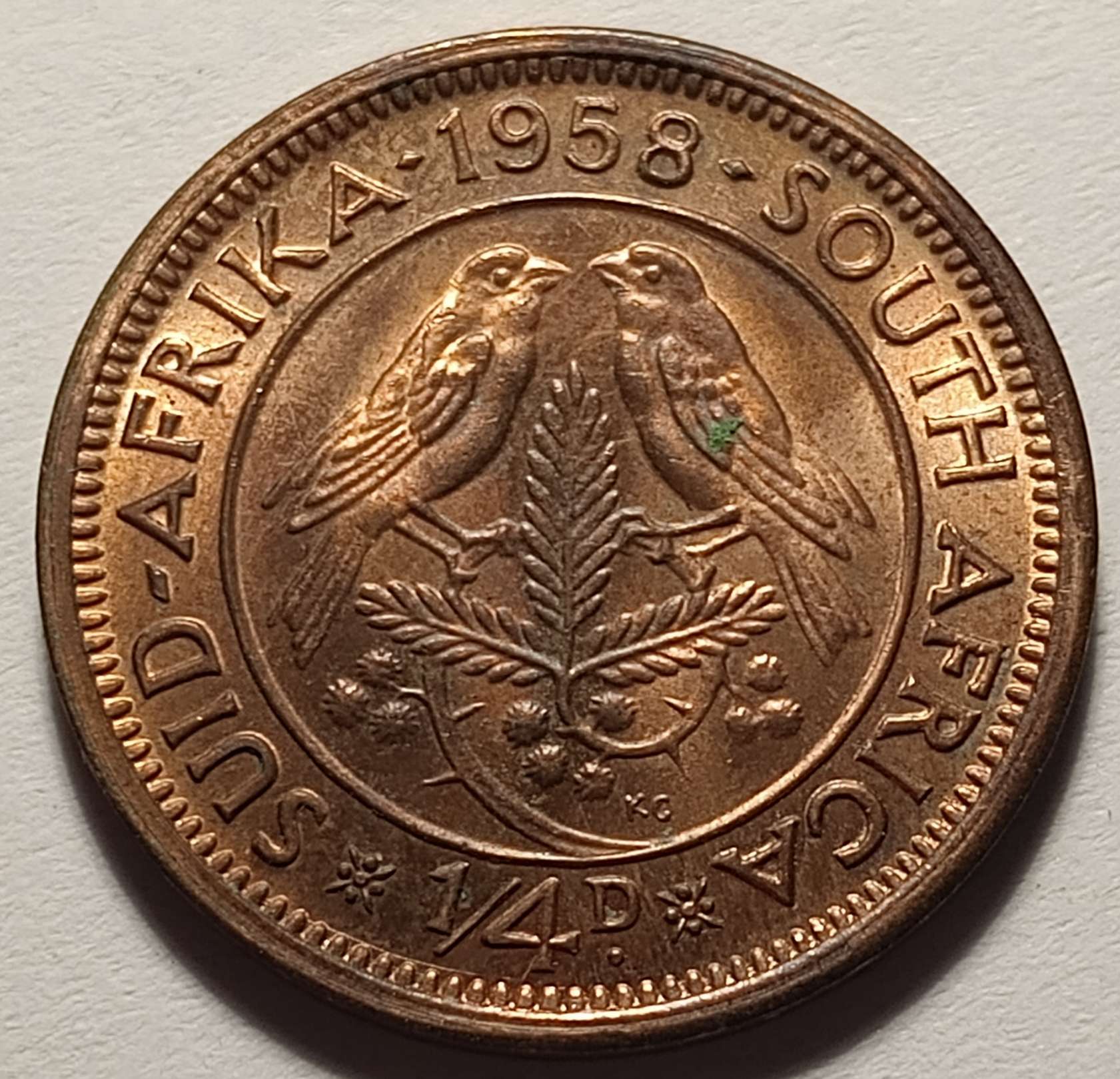Post-Your-Bird-Coins