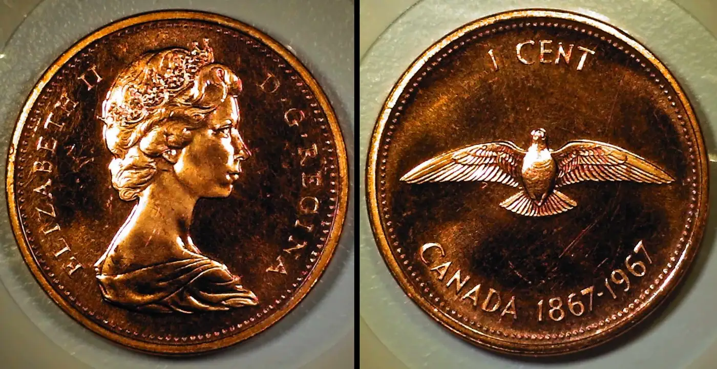 Post-Your-Bird-Coins