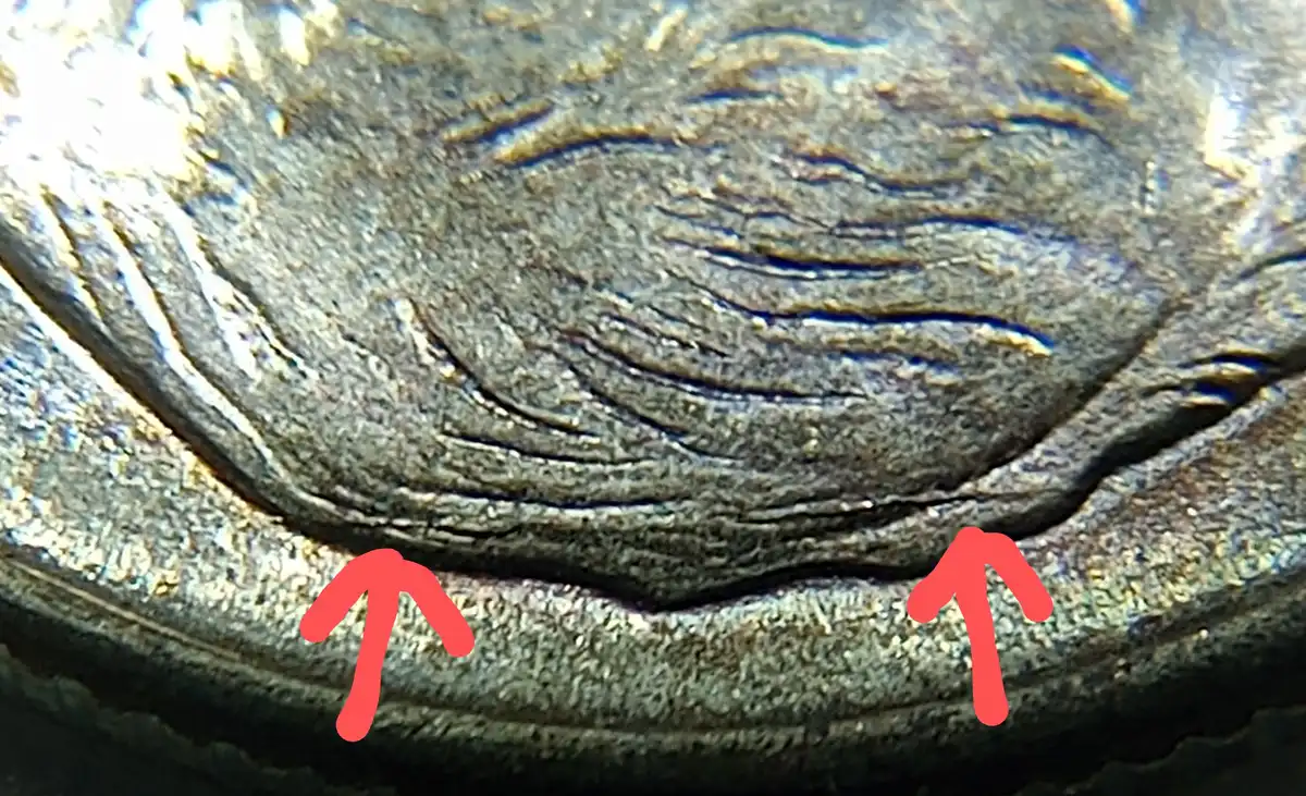 1947-D-Roosevelt-Dime-With-Linear-Fridb?