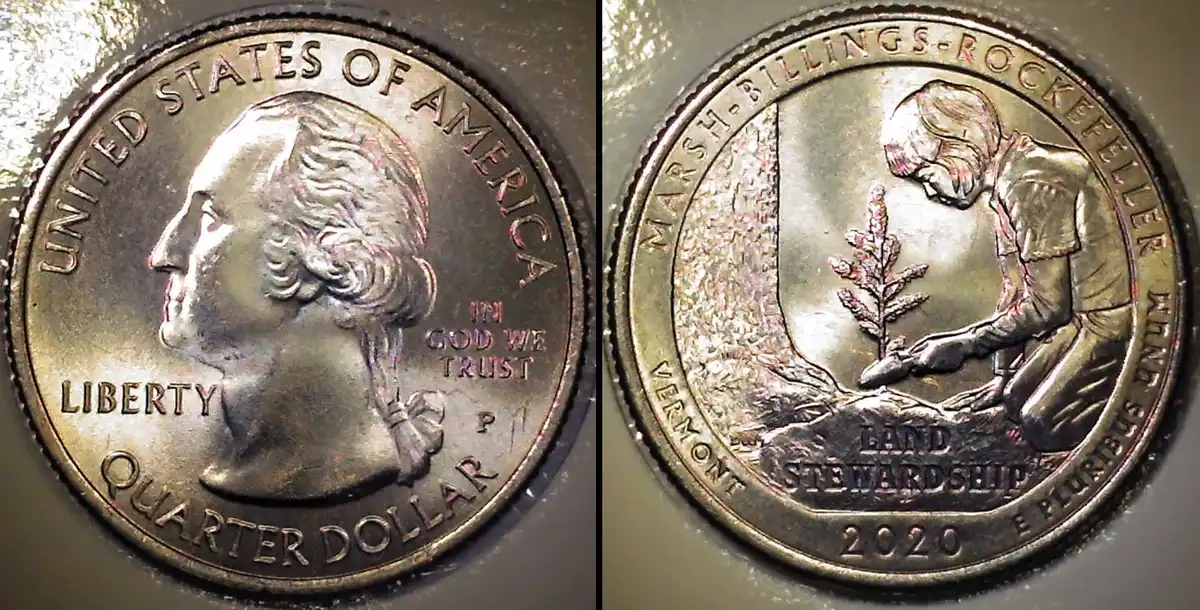 2020-P-Mbr-Quarter-Wild-Compound-Error