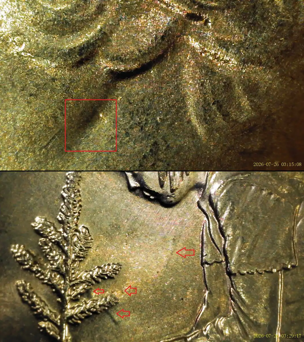 2020-P-Mbr-Quarter-Wild-Compound-Error