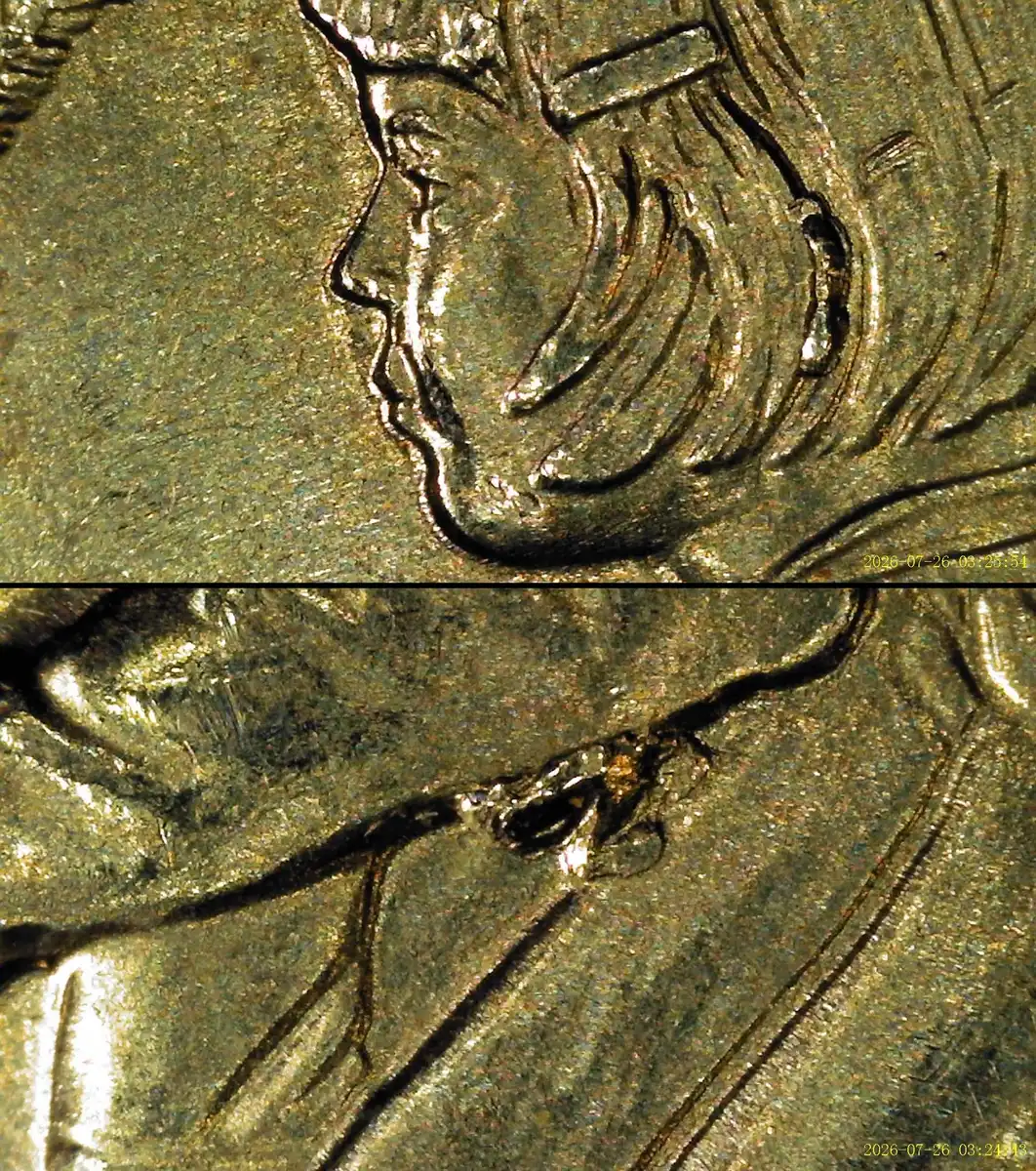 2020-P-Mbr-Quarter-Wild-Compound-Error
