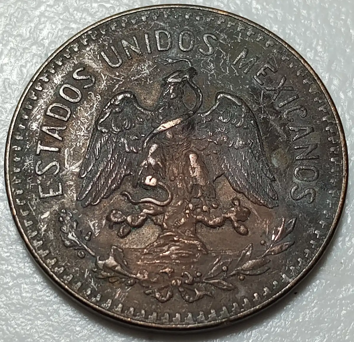 Post-Your-Bird-Coins