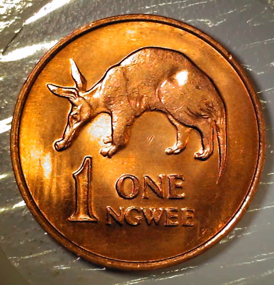 Post-Your-Coins-Representing-The-Animal-Kingdom.