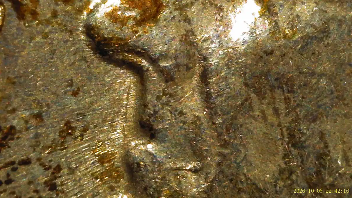 1961-D-Toned-Roosevelt-Dime-Fridb-Around-Mouth