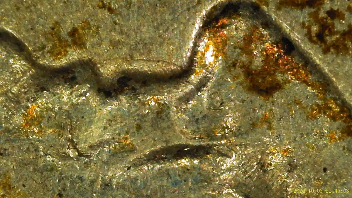 1961-D-Toned-Roosevelt-Dime-Fridb-Around-Mouth
